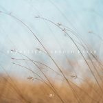 Roedelius & Arnold Kasar, Zensibility
