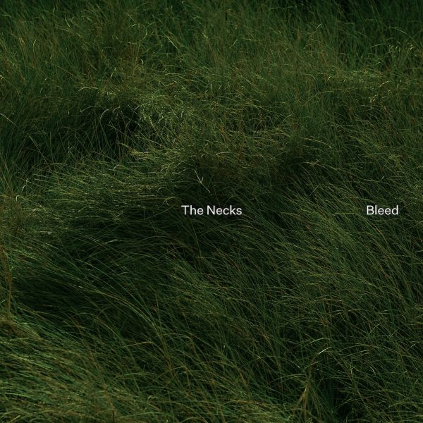 The Necks