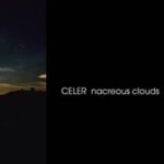 Celer