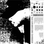 Dedekind Cut